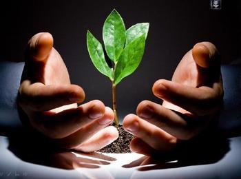 大電流變壓器盡在鵬鷹您的滿意是我們永恒的追求_大電流變壓器盡在鵬鷹您的滿意是我們永恒的追求價格_大電流變壓器盡在鵬鷹您的滿意是我們永恒的追求廠家_防盜、報警器材及系統 產品 中國橄欖油交易網-橄欖油價格 橄欖油團購 橄欖油行情 進口橄欖油