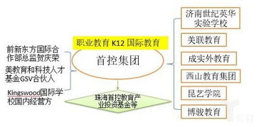 圖文解讀 職業教育與留學服務，上市公司布局全解析